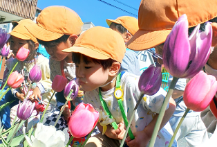 3·4·5歳児の写真